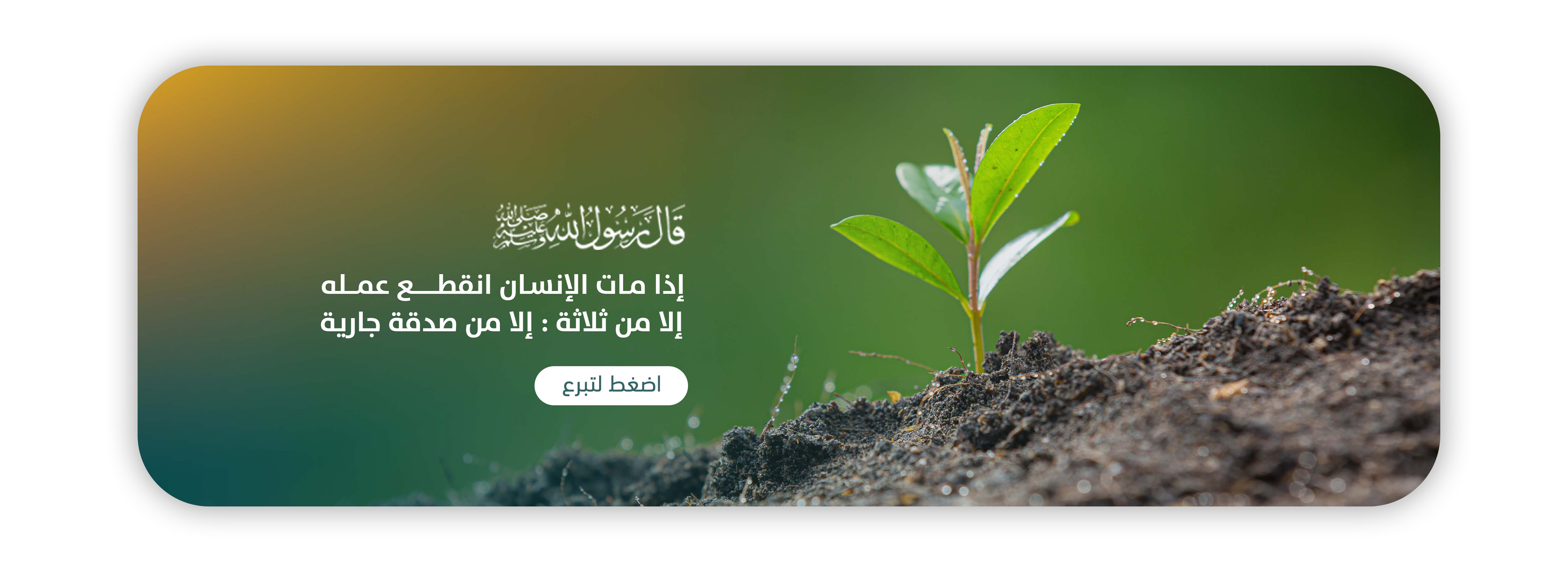 جمعية رضوان الخيرية